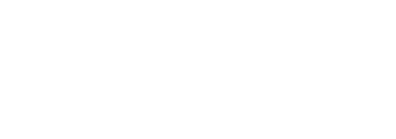 ICON logo
